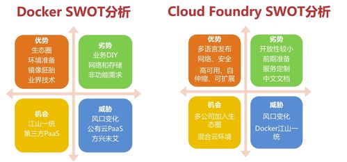 Java架构师视角下的服务容器化技术与实践 从Docker到Cloud Foundry